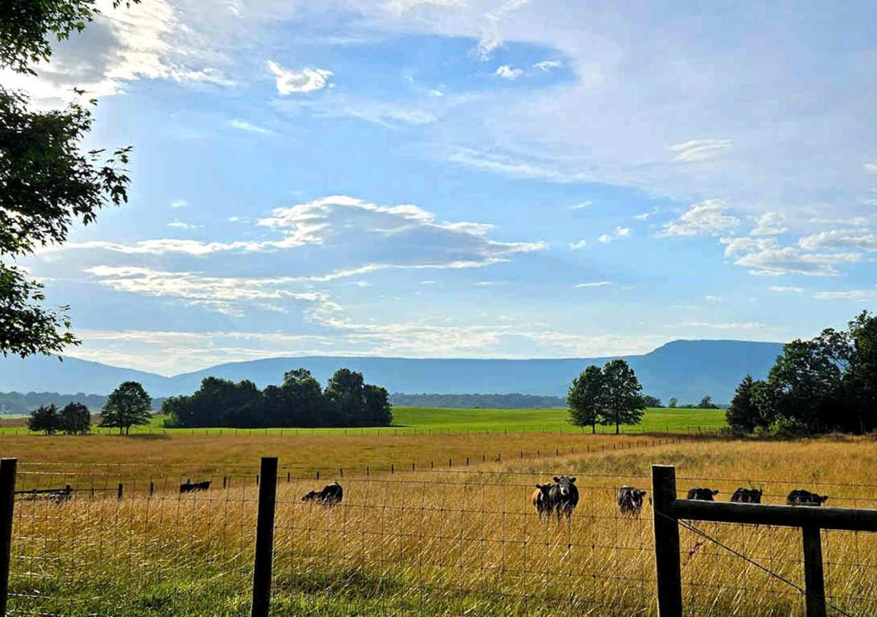 Piney Hill B&B And Cottages Luray Εξωτερικό φωτογραφία