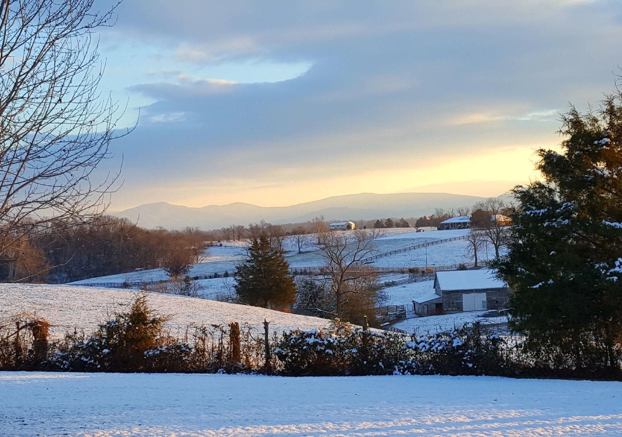 Piney Hill B&B And Cottages Luray Εξωτερικό φωτογραφία