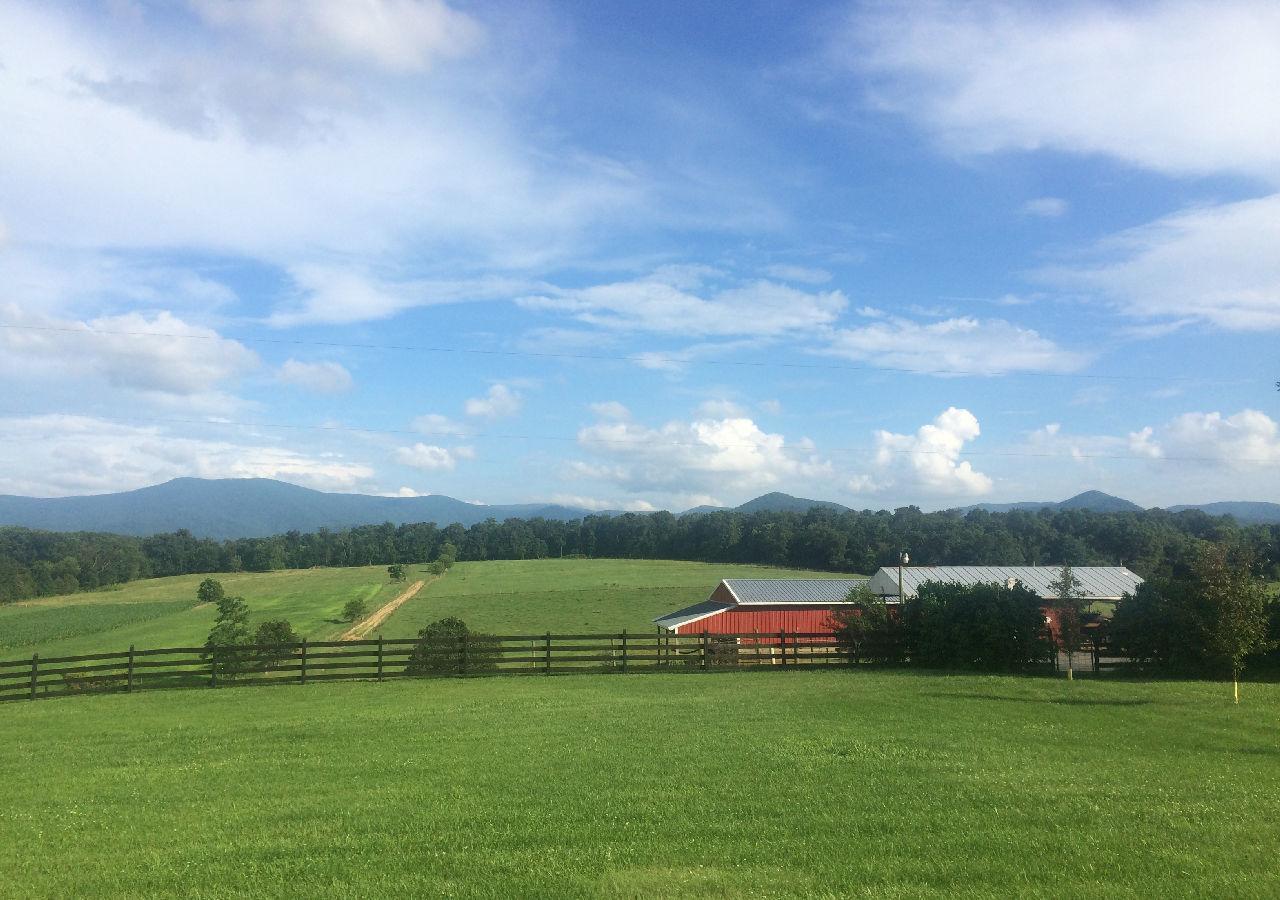 Piney Hill B&B And Cottages Luray Εξωτερικό φωτογραφία
